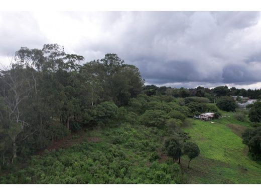 Αγροτεμάχιο σε Villa Canales, Municipio de Villa Canales