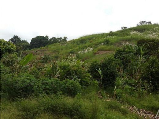 Участок, Гватемала, Municipio de Guatemala