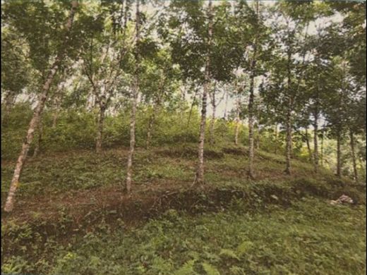 Morales, Municipio de Moralesのカントリー風またはファームハウス