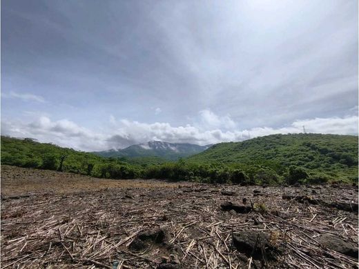 Arsa Jalpatagua, Departamento de Jutiapa