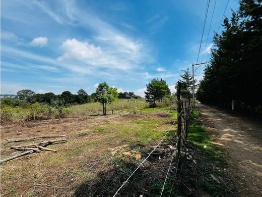 Αγροτεμάχιο σε Lo de Diéguez, Municipio de Fraijanes