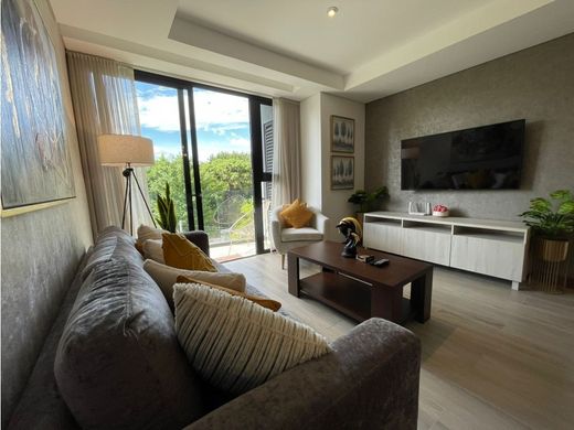 Daire Guatemala City, Municipio de Guatemala