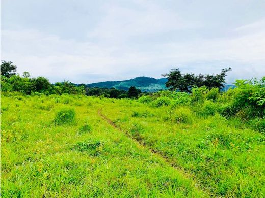 Land in Santa Elena Barillas, Municipio de Villa Canales