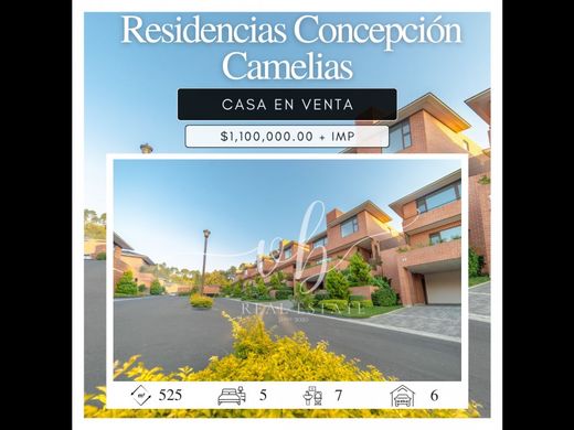 منزل ﻓﻲ مدينة غواتيمالا, Municipio de Guatemala