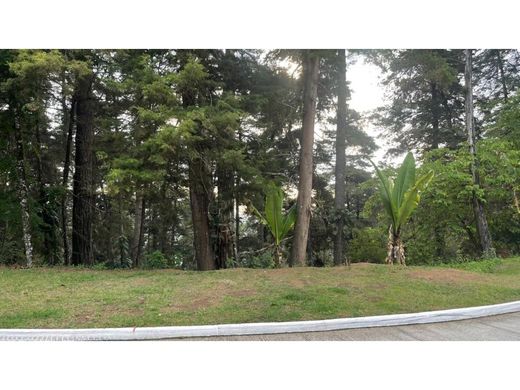 地皮  瓜地馬拉市, Municipio de Guatemala