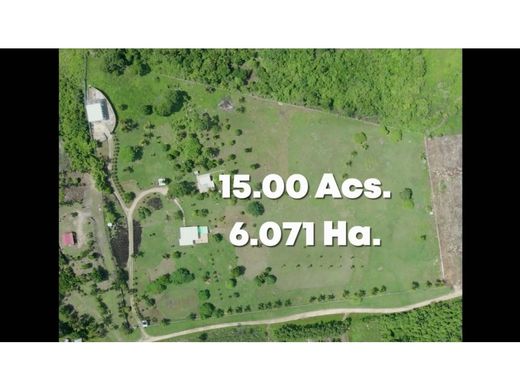 Guatemala City, Municipio de Guatemalaの土地