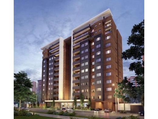 Daire Guatemala City, Municipio de Guatemala