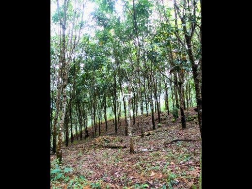 村舍/农舍  Puerto Barrios, Municipio de Puerto Barrios