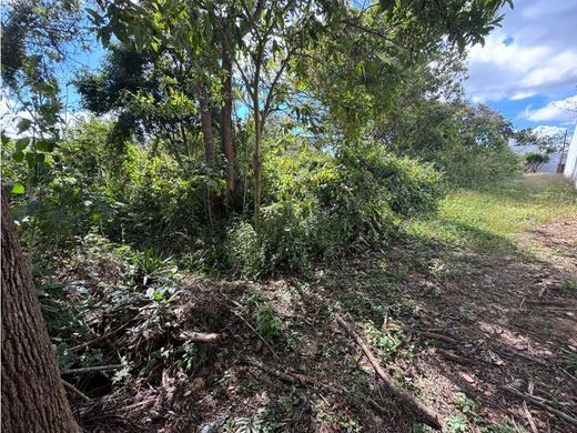 Arsa Guatemala City, Municipio de Guatemala