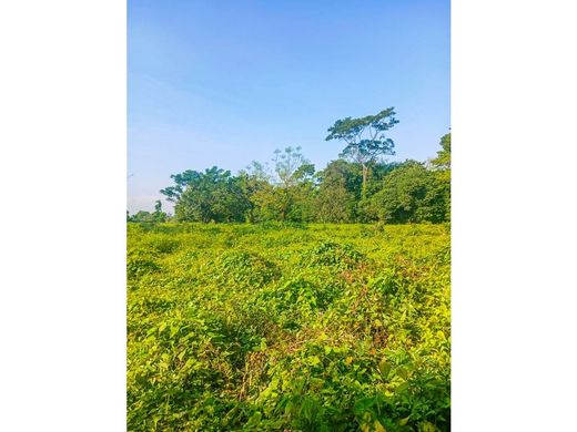 Terreno en Escuintla, Municipio de Escuintla