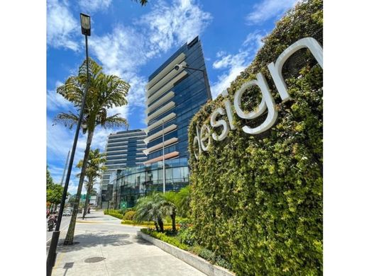 Ofis Guatemala City, Municipio de Guatemala