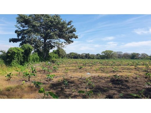 Land in Puerto San José, Municipio de San José