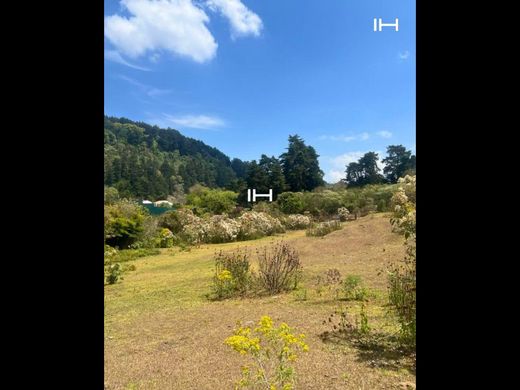 Arsa Guatemala City, Municipio de Guatemala