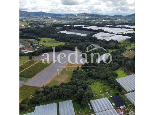 Tecpán Guatemala, Municipio de Tecpán Guatemalaの土地