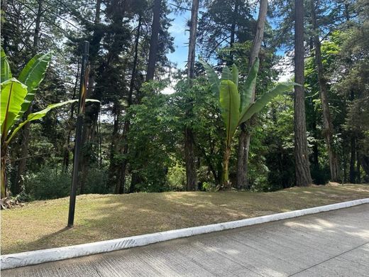 토지 / Guatemala City, Municipio de Guatemala