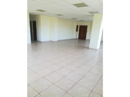 办公室  瓜地馬拉市, Municipio de Guatemala