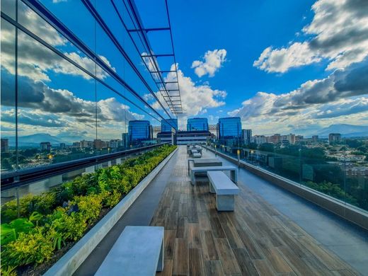 مكتب ﻓﻲ مدينة غواتيمالا, Municipio de Guatemala