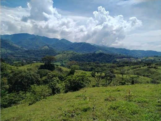 Arsa Barberena, Departamento de Santa Rosa