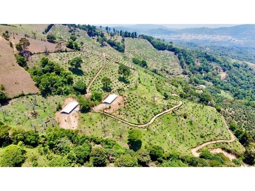 Cortijo o casa de campo en San Vicente Pacaya, Municipio de San Vicente Pacaya