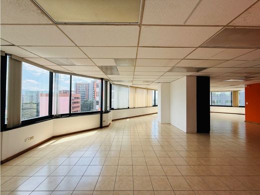 Офис, Гватемала, Municipio de Guatemala