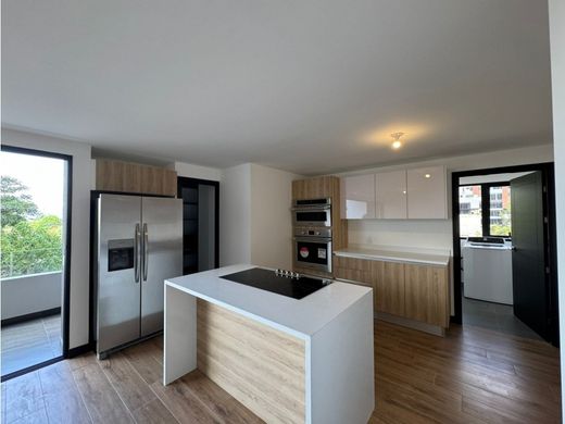 Daire Guatemala City, Municipio de Guatemala