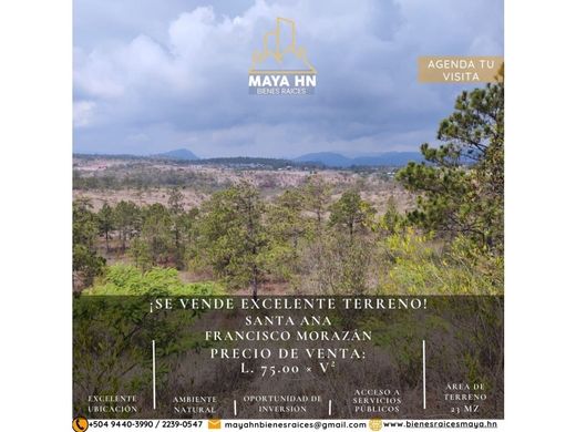 Tegucigalpa, Departamento de Francisco Morazánの土地