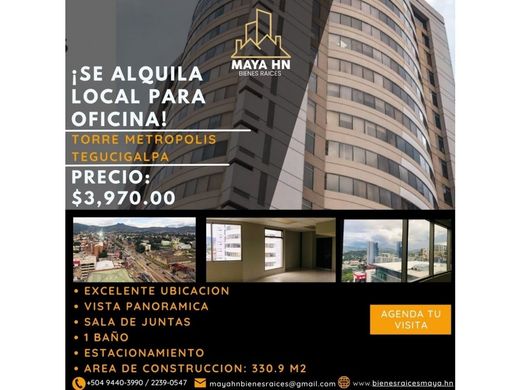 Офис, Тегусигальпа, Departamento de Francisco Morazán