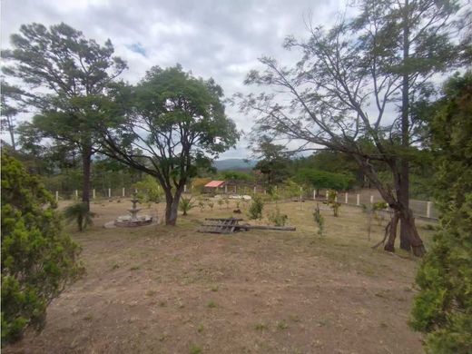 أرض ﻓﻲ Sabanagrande, Departamento de Francisco Morazán