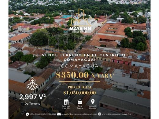 Tegucigalpa, Departamento de Francisco Morazánの土地