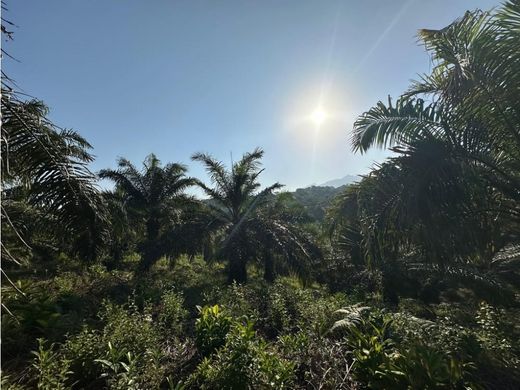 ﻣﻨﺰﻝ ﺭﻳﻔﻲ/ ﺑﻴﺖ ﻤﺰﺭﻋﺔ ﻓﻲ Tela, Departamento de Atlántida