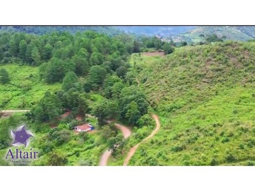 Terrain à Tegucigalpa, Departamento de Francisco Morazán