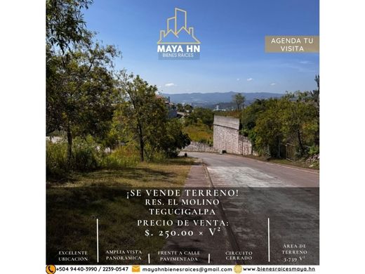 Tegucigalpa, Departamento de Francisco Morazánの土地