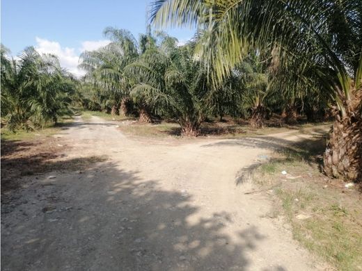 Boerderij in Sonaguera, Departamento de Colón