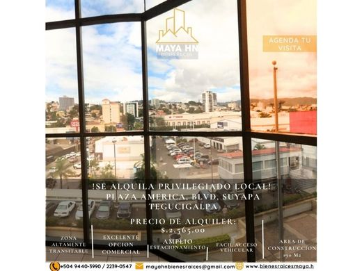 Офис, Тегусигальпа, Departamento de Francisco Morazán