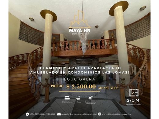 Appartement in Tegucigalpa, Departamento de Francisco Morazán