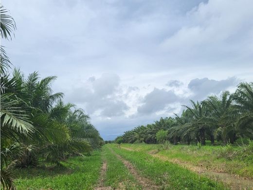 Boerderij in Sabá, Departamento de Colón
