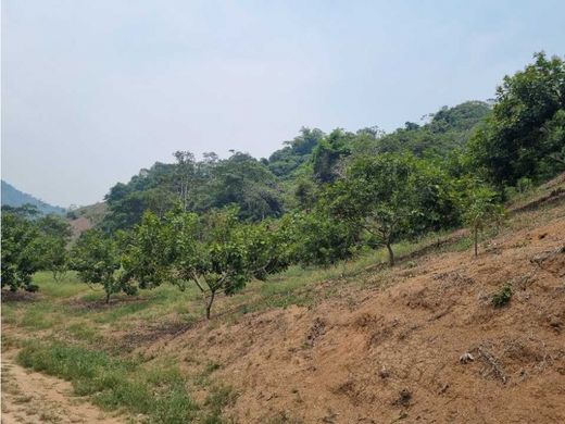 Santa Cruz de Yojoa, Departamento de Cortésのカントリー風またはファームハウス