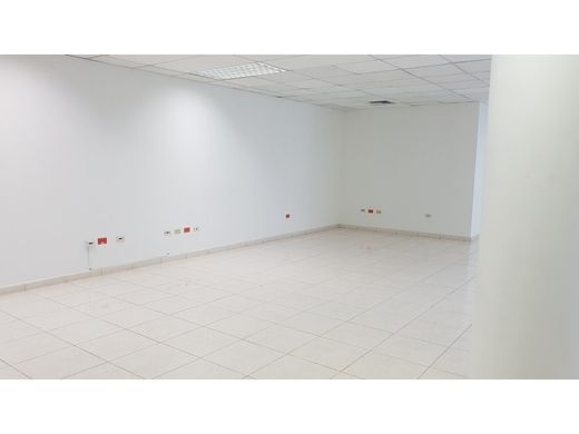 Biuro na wynajem miesięczny San Pedro Sula