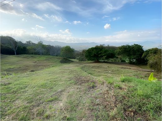 Terreno en Palmares, Provincia de Alajuela