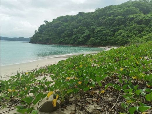 Terreno - Santa Cruz, Provincia de Guanacaste