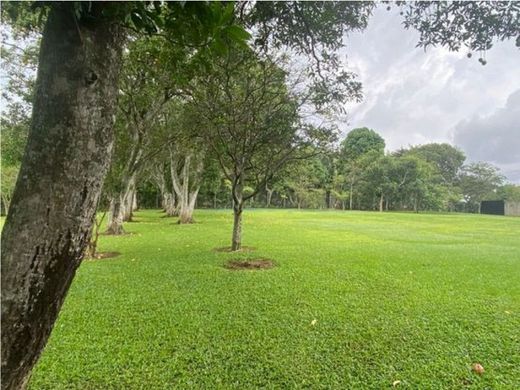 Terreno en Alajuela, Cantón de Alajuela