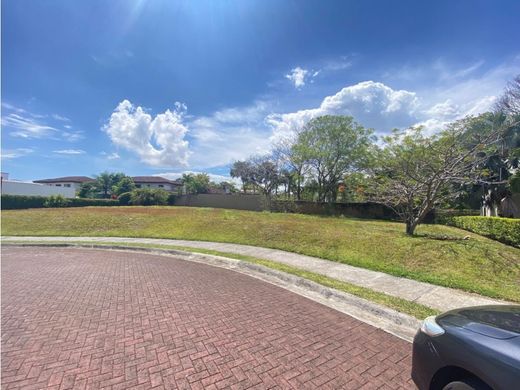 토지 / Santa Ana, Provincia de San José