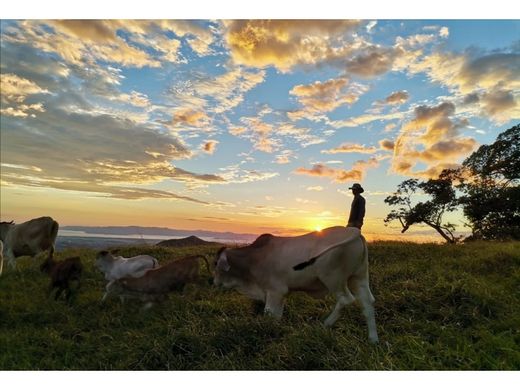 Land in Miramar, Montes de Oro
