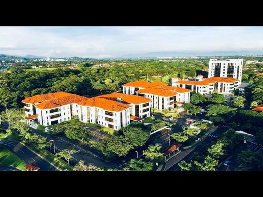 사무실 / Santa Ana, Provincia de San José