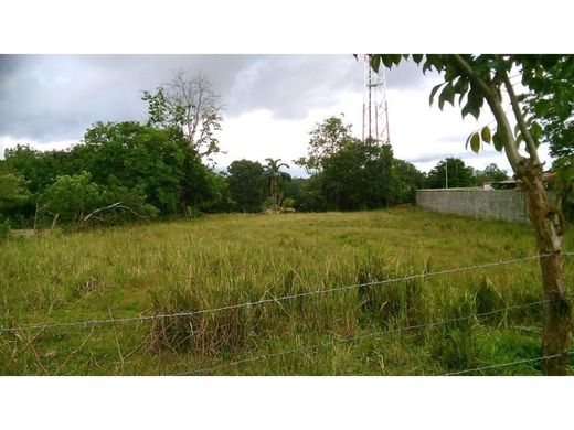 Land in San Isidro del General, Pérez Zeledón