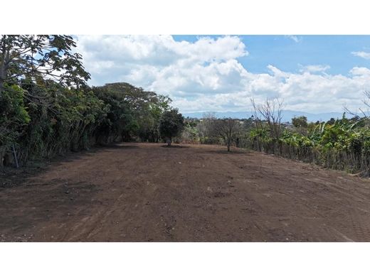 Santo Domingo, Provincia de Herediaの土地