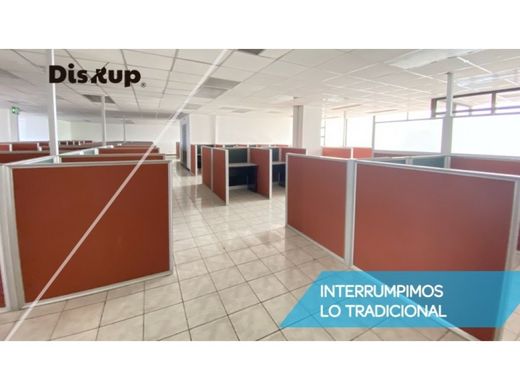 Ofis San José, Cantón de San José