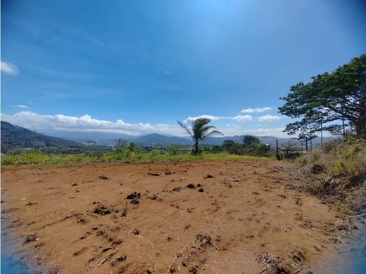 Terreno - Palmares, Provincia de Alajuela