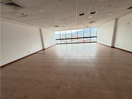 사무실 / Colón, Mora