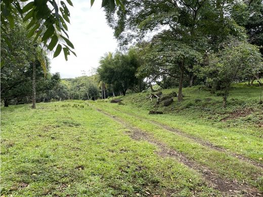 Land in La Garita, Cantón de Alajuela